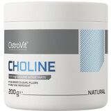 OstroVit Choline 200 g